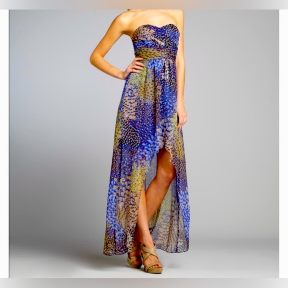 Max & Cleo Dresses & Skirts - Max & Cleo Strapless Peacock Maxi Dress NWT